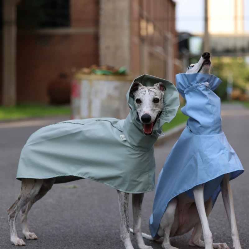 Dog Raincoat - İtalyan Tazısı ve Whippet için Düz