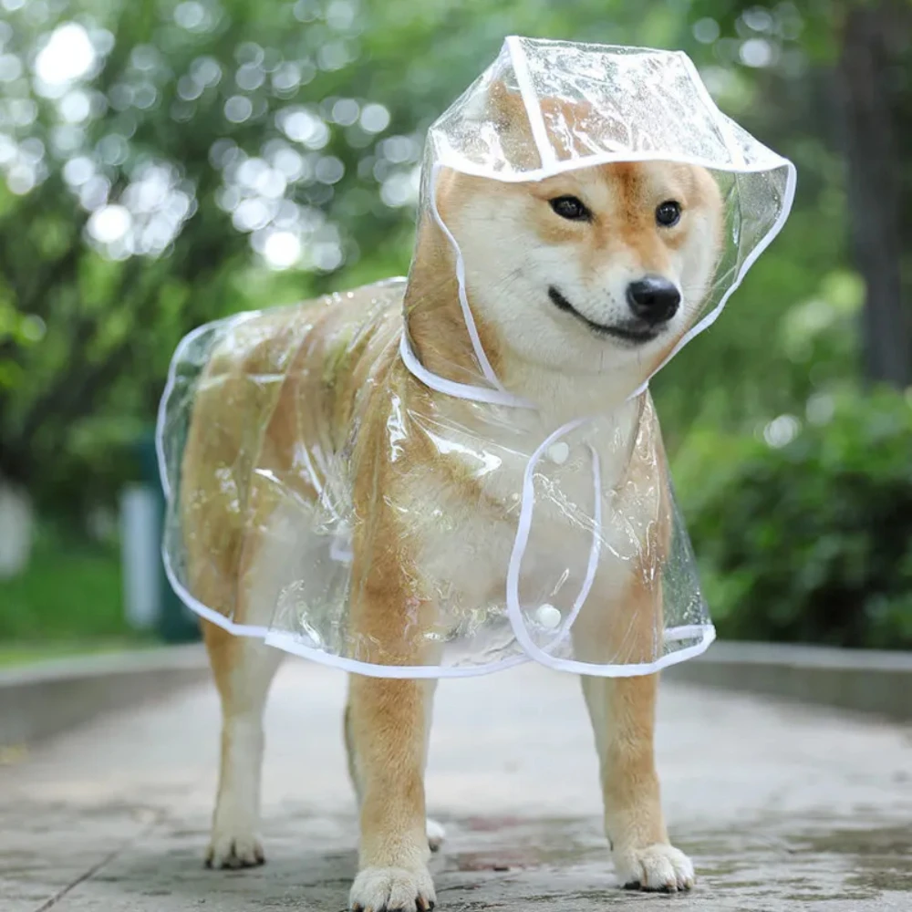 Dog Raincoat - Köpek Yağmurluk Köpek Şeffaf Yağmurluk Pet