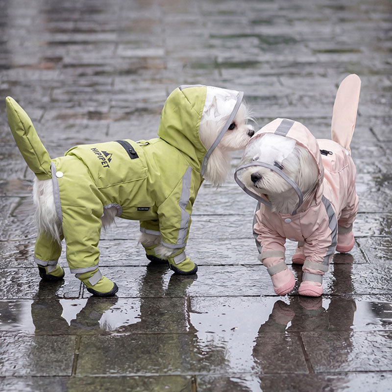 Dog Raincoat - Su geçirmez Köpek Yağmurluğu Şeffaf Şeffaf