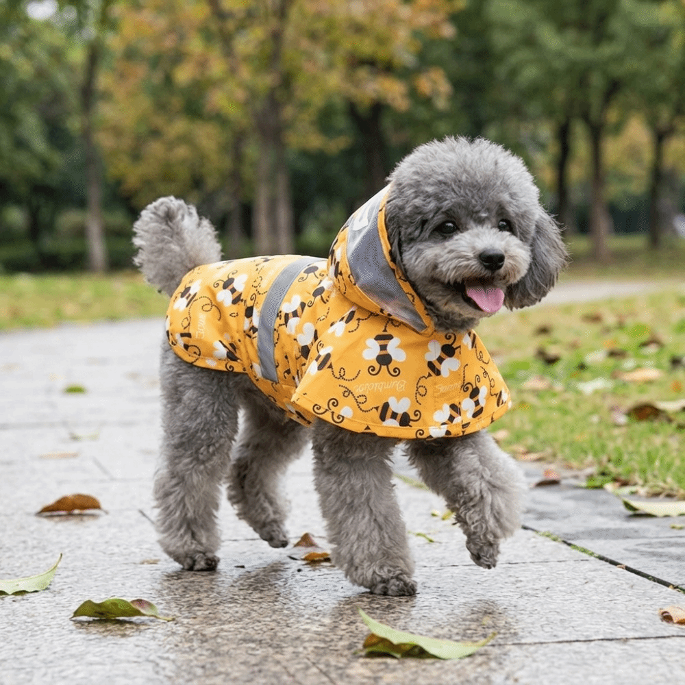 Dog Raincoat - Ördek Şekilli Köpek Yağmurluğu Arı Şekilli