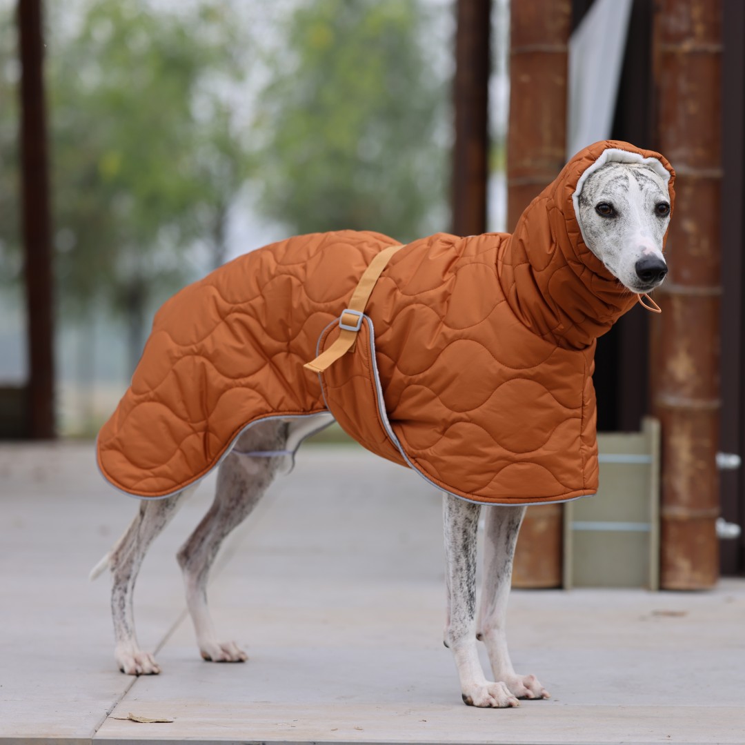 Dog Raincoat - Küçük/Orta/Büyük Irklar için Sıcak Kışlık Köpek