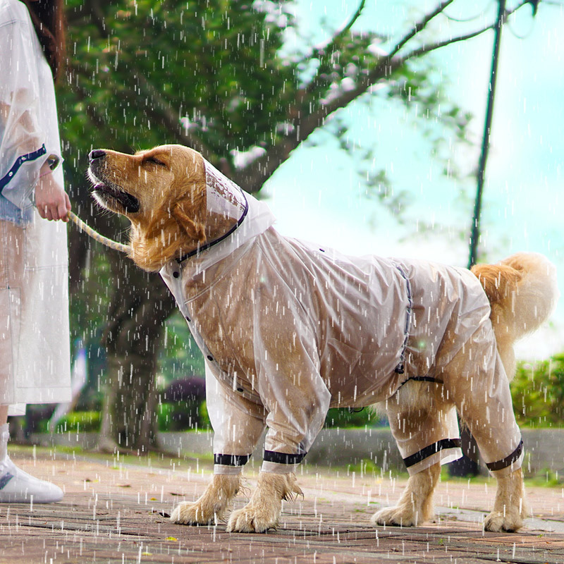Su Geçirmez Köpek Yağmurluğu T - Dog Raincoat incelemesi ve fiyatı