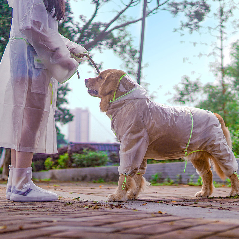 Su Geçirmez Köpek Yağmurluğu T - Dog Raincoat incelemesi ve fiyatı