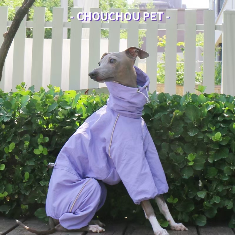 İtalyan Greyhound Yağmurluk So - Dog Raincoat incelemesi ve fiyatı