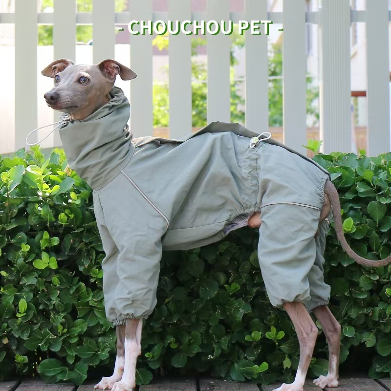 İtalyan Greyhound Yağmurluk So - Dog Raincoat incelemesi ve fiyatı