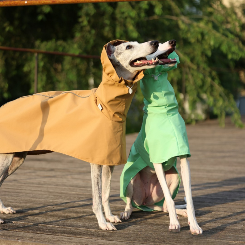 İtalyan Tazısı ve Whippet için - Dog Raincoat incelemesi ve fiyatı