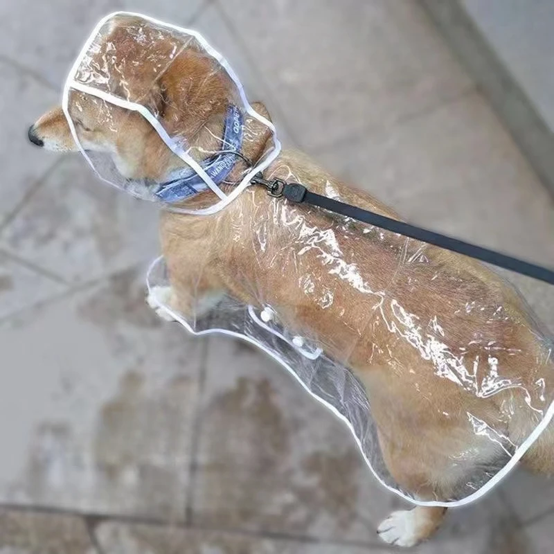 Köpek Yağmurluk Köpek Şeffaf Y - Dog Raincoat incelemesi ve fiyatı