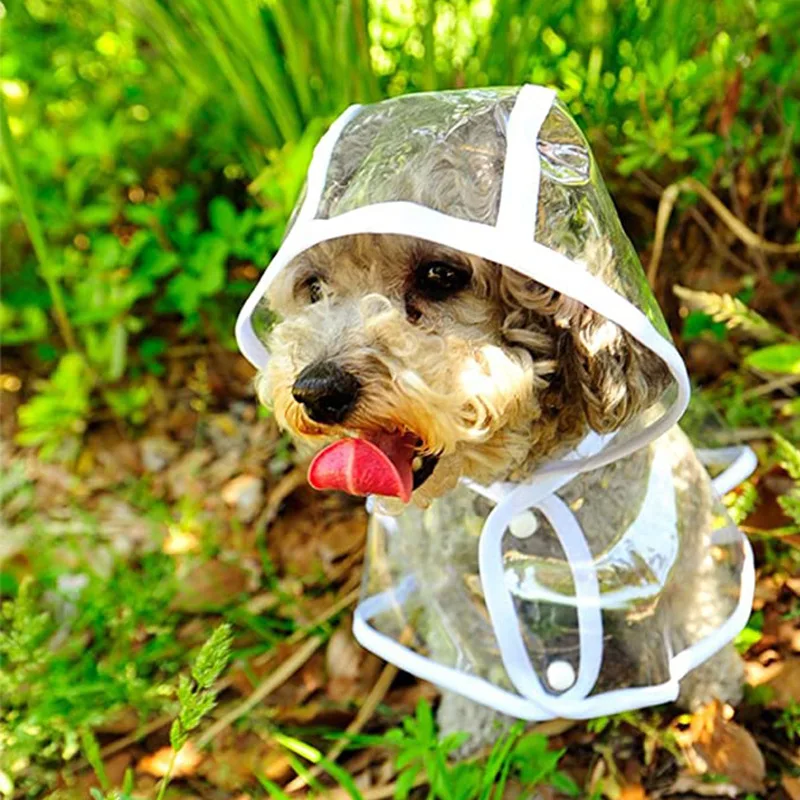 Köpek Yağmurluk Köpek Şeffaf Y - Dog Raincoat incelemesi ve fiyatı