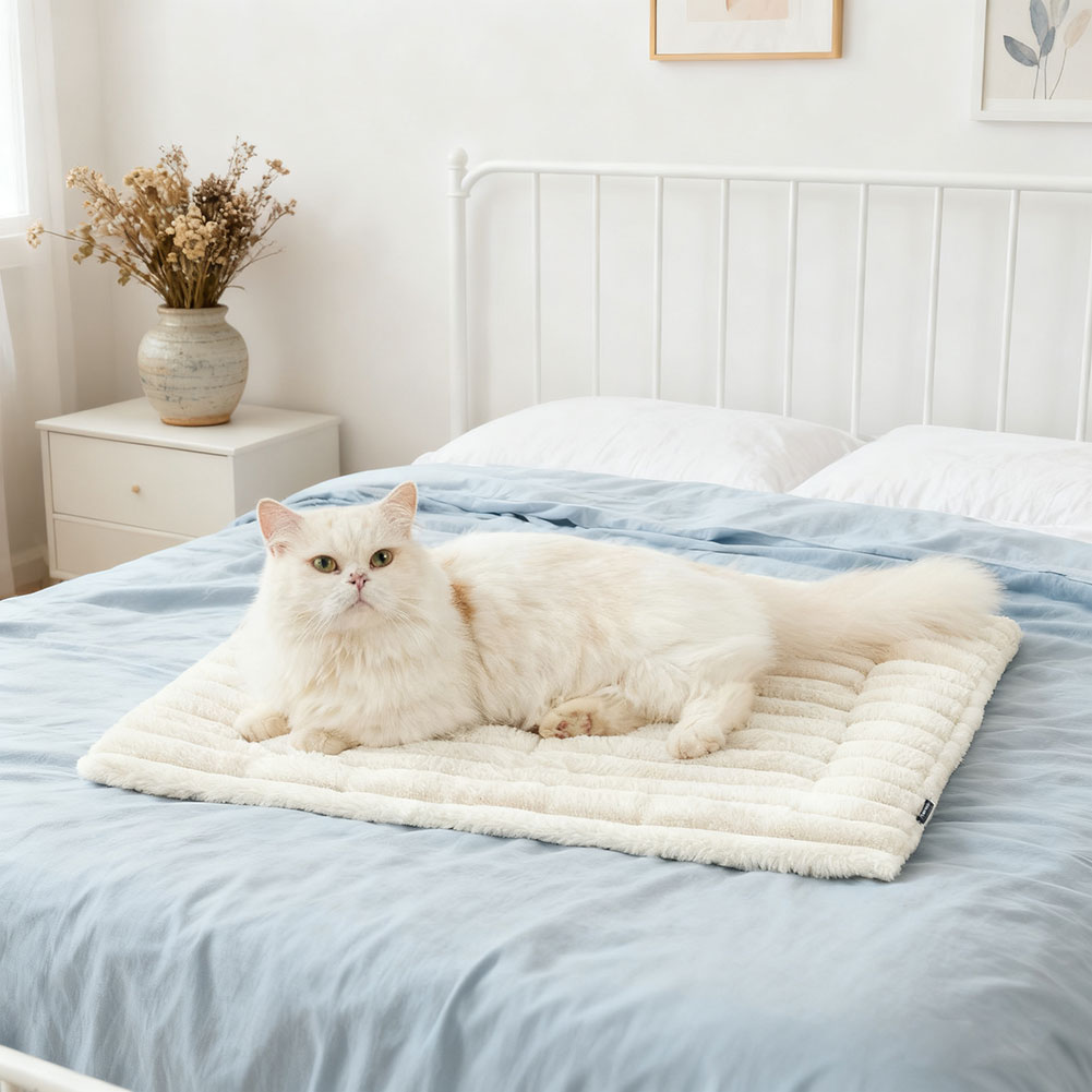 Kendiliğinden Isınan Kedi Köpe - Pet Supplies Self Wash incelemesi ve fiyatı