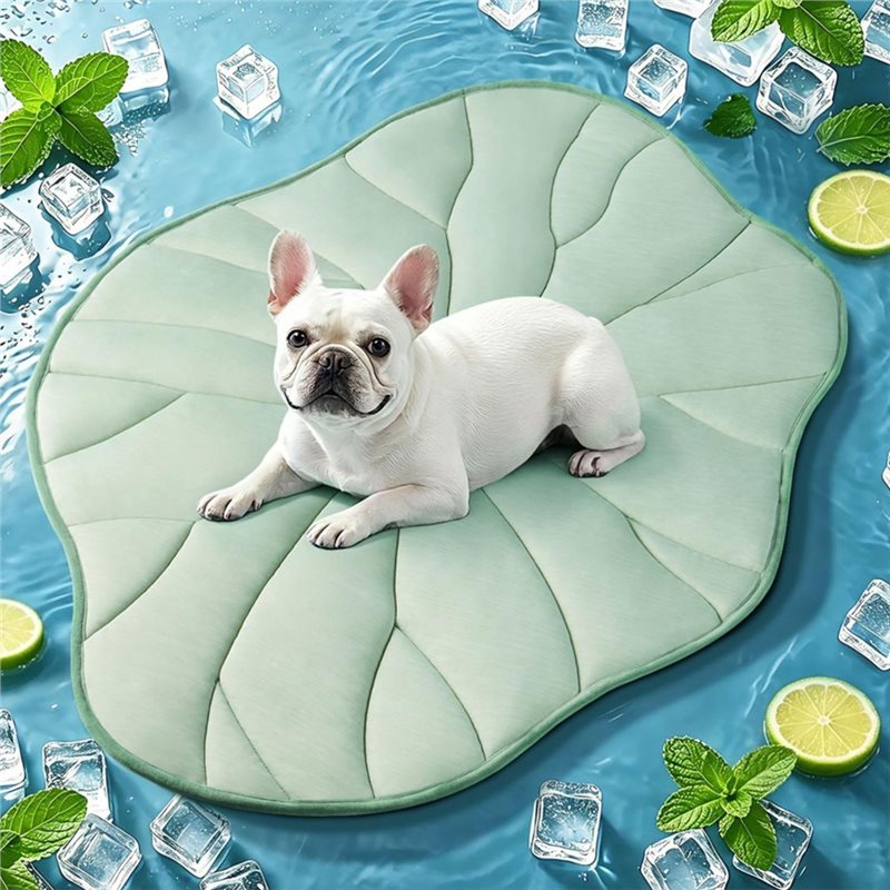 ABAE-Summer 2.0 Köpek Soğutma  - Pet Supplies Self Wash incelemesi ve fiyatı
