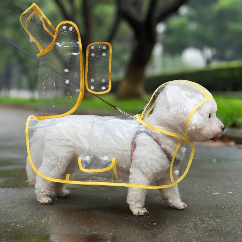 Şeffaf Köpek Yağmurluğu, Tüm V - Dog Raincoat incelemesi ve fiyatı