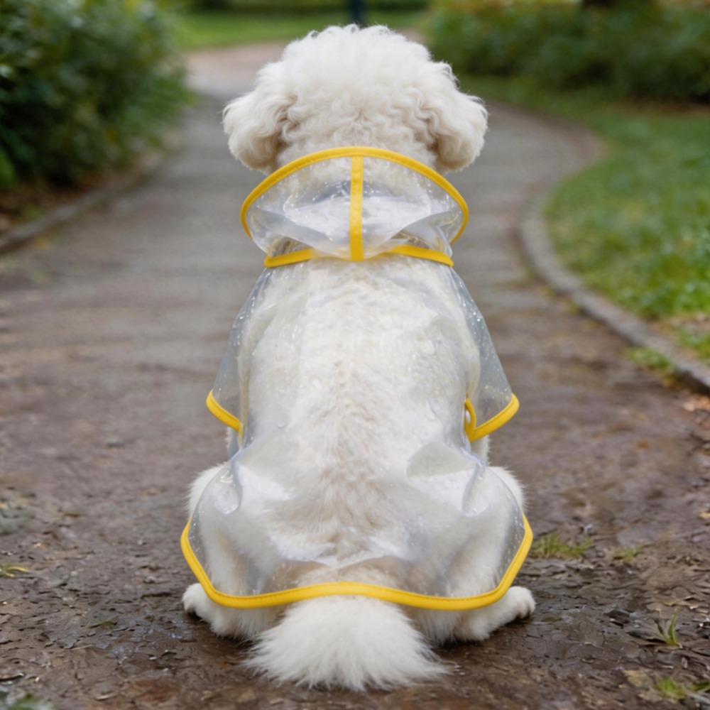 Şeffaf Köpek Yağmurluğu, Tüm V - Dog Raincoat incelemesi ve fiyatı