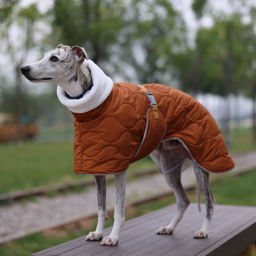 Küçük/Orta/Büyük Irklar için S - Dog Raincoat incelemesi ve fiyatı