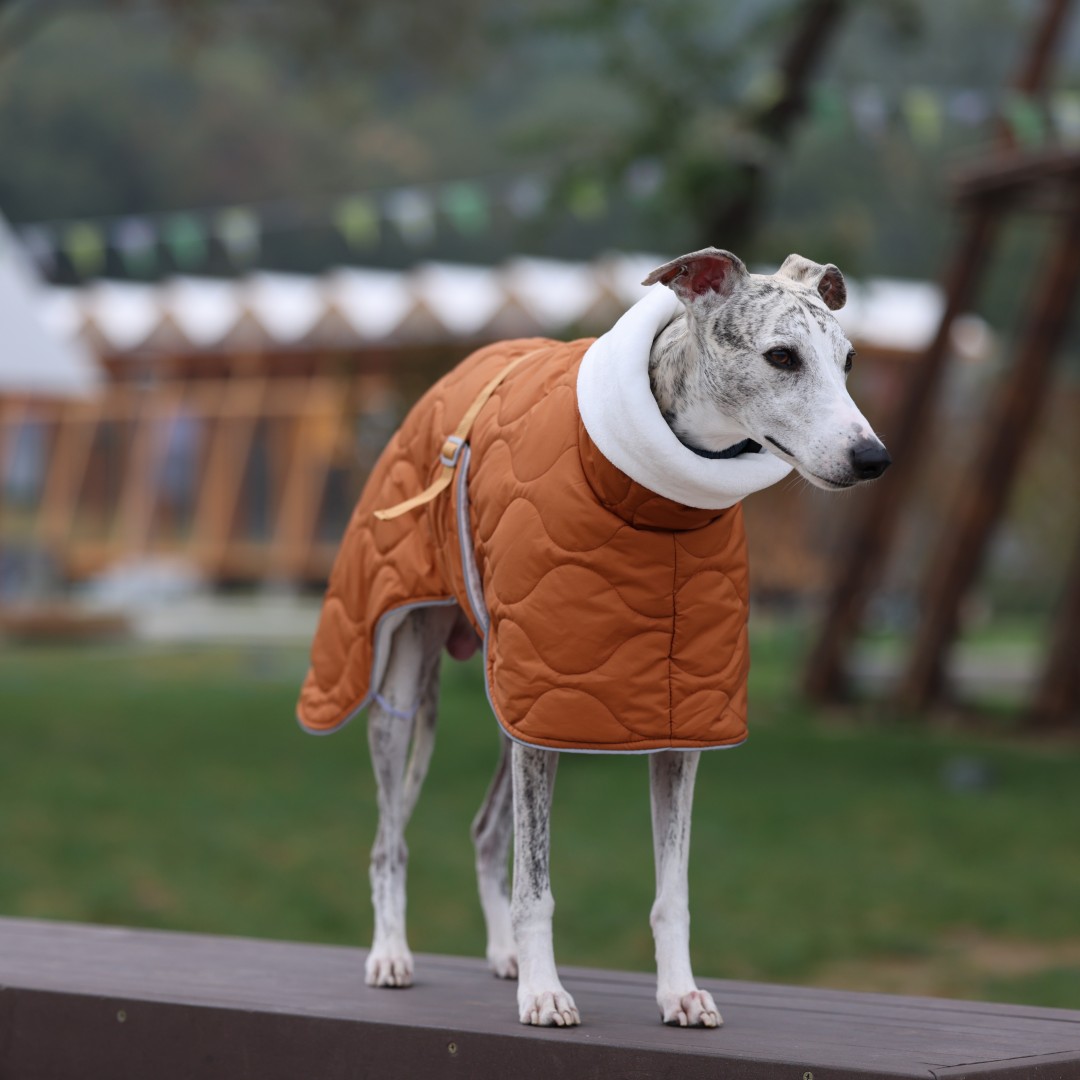 Küçük/Orta/Büyük Irklar için S - Dog Raincoat incelemesi ve fiyatı