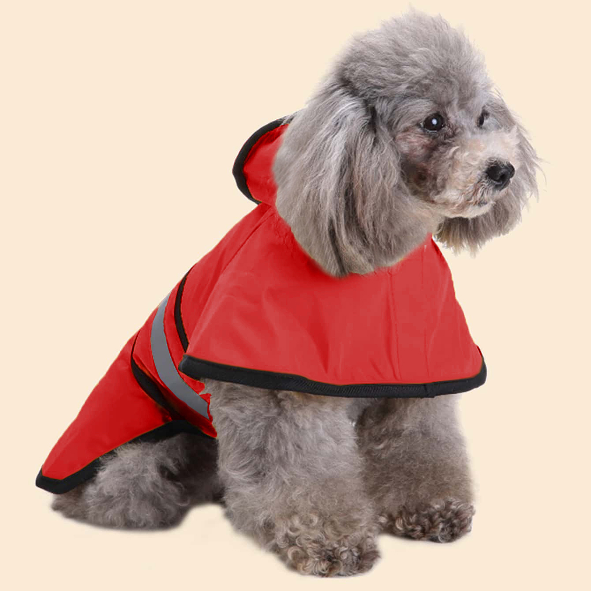 İlkbahar Yaz Su Geçirmez Yansı - Dog Raincoat incelemesi ve fiyatı